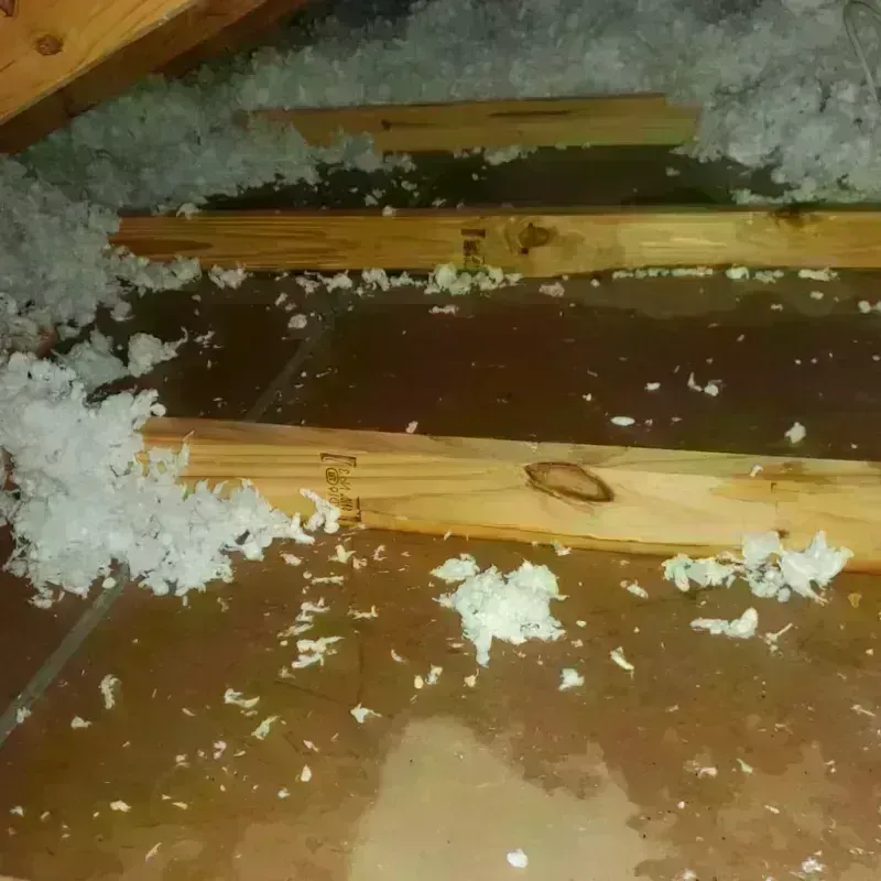 Attic Water Damage in Blackville, SC